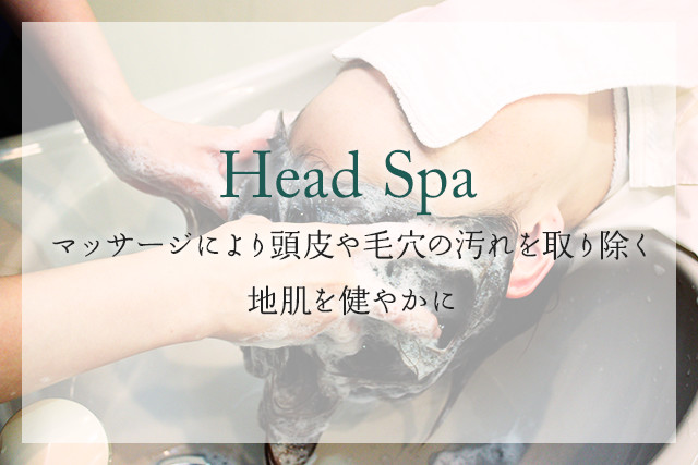 Head spa