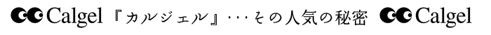 Calgel「カルジェル」 その人気の秘密