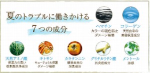 new-summer-shampoo-noir-details2.jpg
